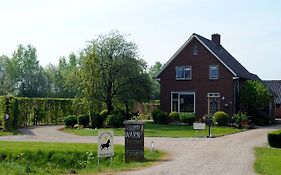 B&B Warnstee